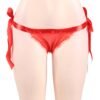 Sexy Hip Open Ribbon Tie Erotic Panty - EPN-04033