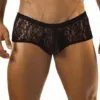 Men’s Lace Transparent Boxer – 07389