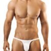 Mens Microfibre Low Waist Free Size Thong Underwear