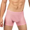 Sheer Mesh Men Boxer Briefs – 07320